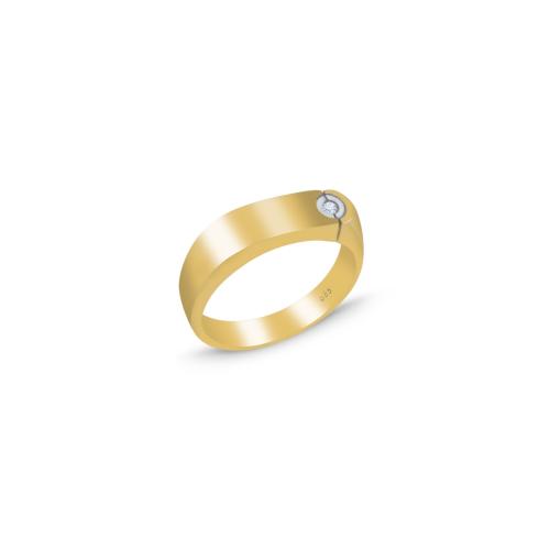 Ανδρικό δαχτυλίδι σε κίτρινο και λευκό χρυσό 14 καρατίων (RI00223)